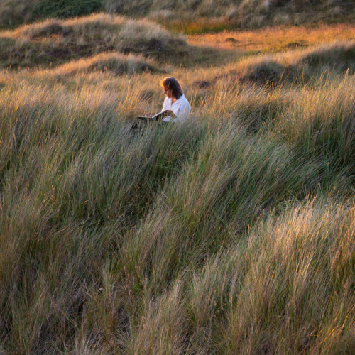  DSC3830 Artist Amongst The Marram Grass Sanddunes Drigg. FS. 3830 Edit